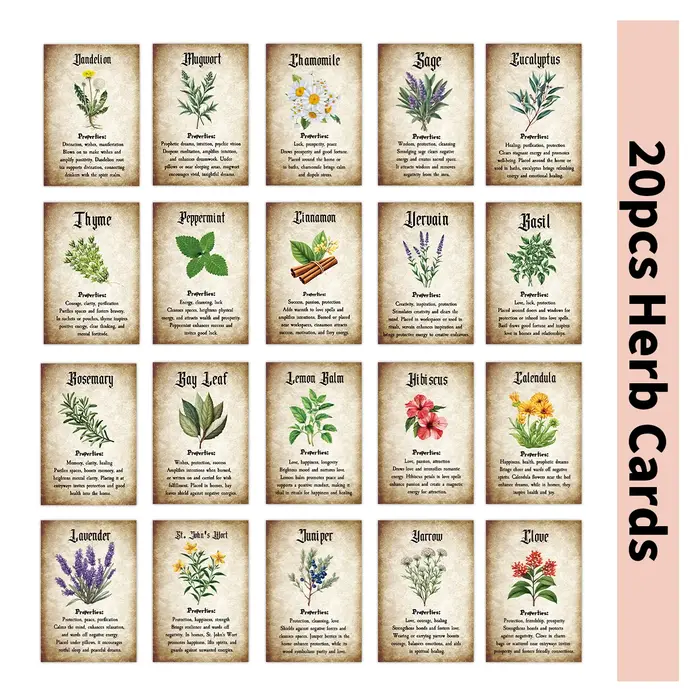 Cartes à base de plantes avec Illustrations botaniques, 20 pièces, infomation des herbes pour Journa