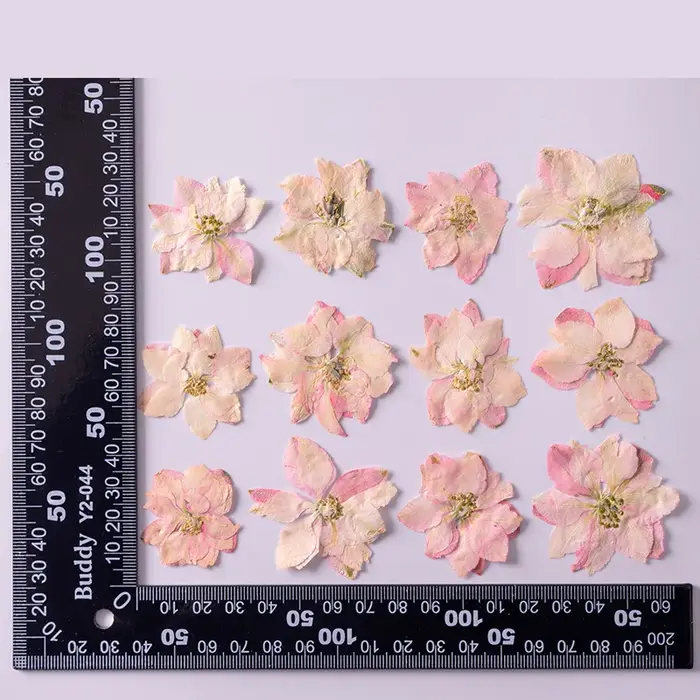 Fleurs de Gaura Lindheimeri pressées et séchées, 120 pièces, plantes sèches pour pendentif en résine époxy, fabrication de bijoux, accessoires artisanaux pour bricolage
