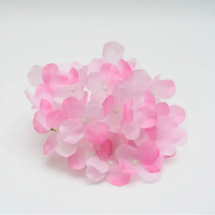 Tête de fleur d'hortensia de Simulation