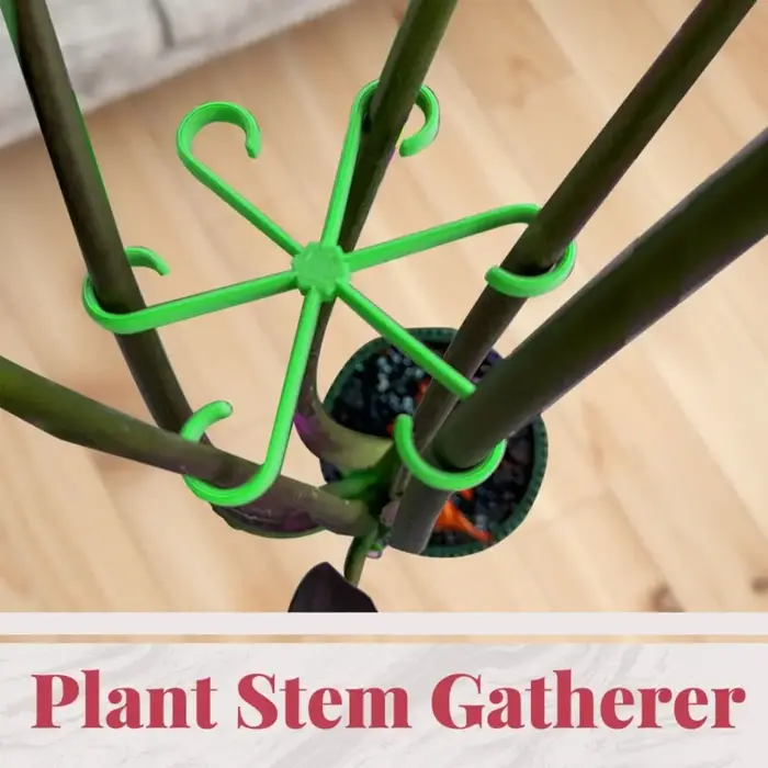 Tige de plante réutilisable