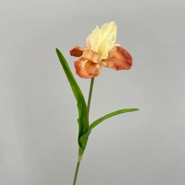 10 pièces de fleurs artificielles en PU, iris blancs Alice, pour décoration de restaurant, branche d