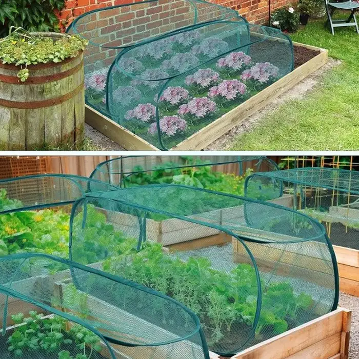 Couverture Hivernale pour Plantes