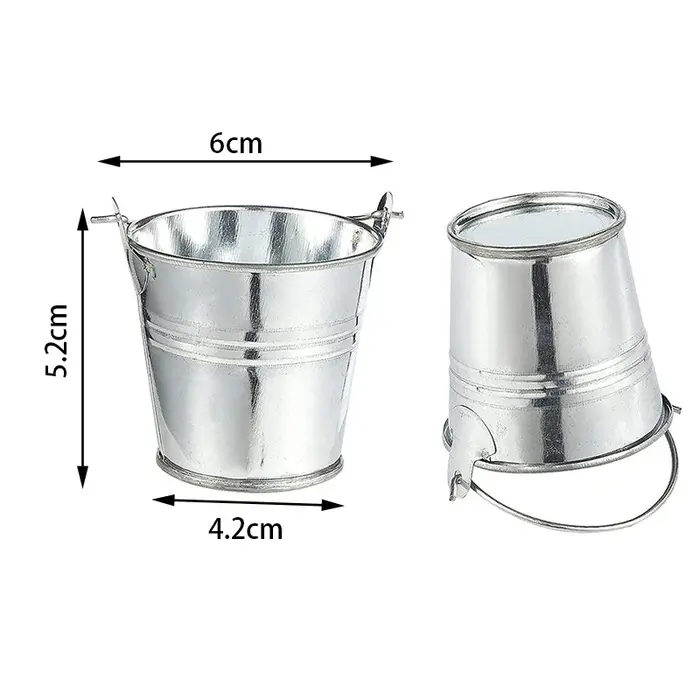 Mini seau en métal, Pot de fleur Portable