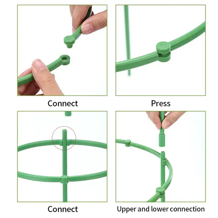 Support d'escalade de vigne verte