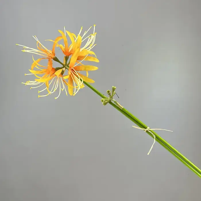 Simulation de fleurs de rivage artificielles, plante verte, fausse fleur décorative pour chambre à c
