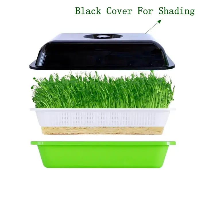 Plats à germer avec couvercle pour plantes à domicile