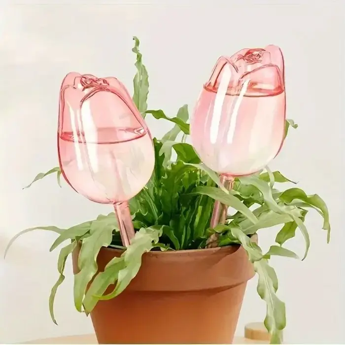 Globes d'arrosage tulipes pour plantes – Système