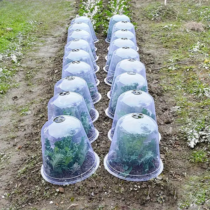 Dôme de protection contre l'humidité pour plantes en plastique réutilisable