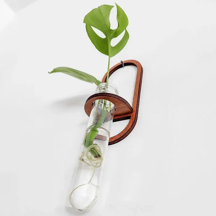 Vase mural pour plantes
