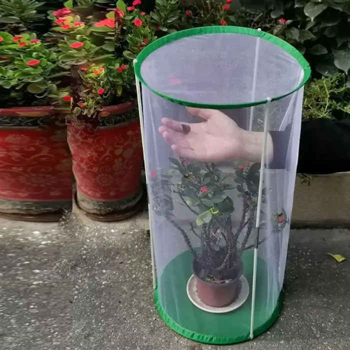 Mini serre coupe-vent en PVC transparent pour plante