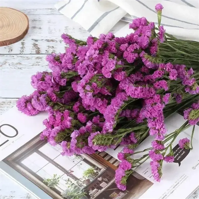 120g fleurs séchées naturelles oubliez-moi pas Bouquets décoration de mariage