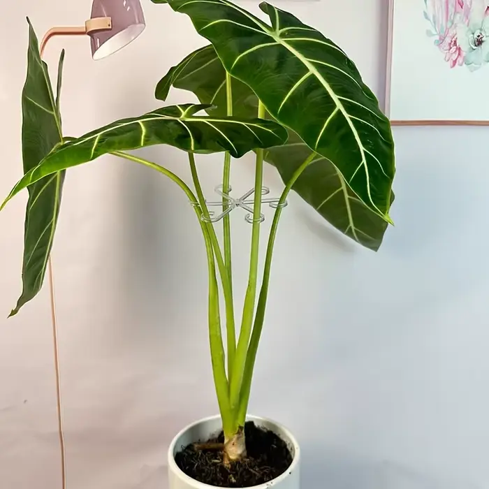 Poteau de Support anti-renversement pour plantes vertes