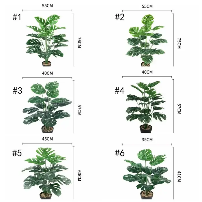 Branches de Palmier Tropicales Vertes