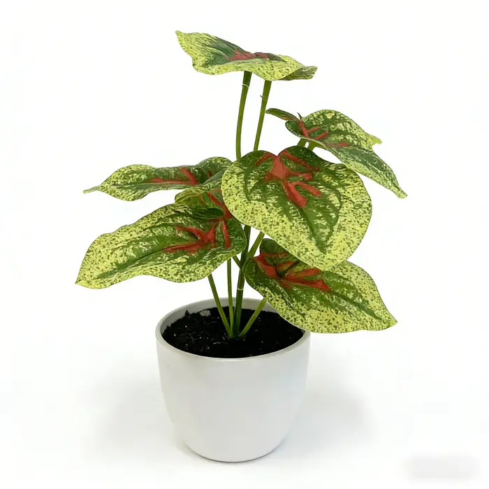 Caladium artificiel marbré rouge de 20 cm (7,9 pouces), petite plante en pot, idéal pour café, chamb