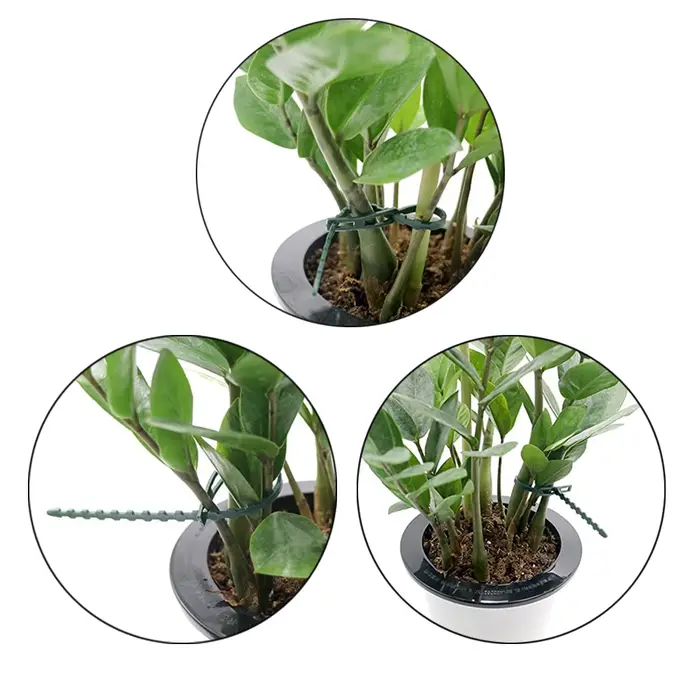 Attaches de câble réutilisables pour plantes en plastique