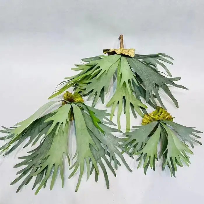 Nouvelles feuilles de bois de cerf artificielles Pteridophyte