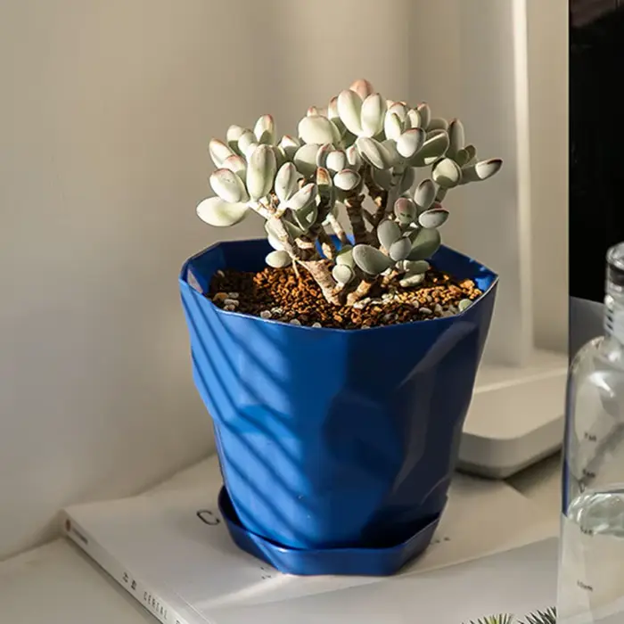 Pot de fleurs décoratif Durable, Stable, respirant, plantes succulentes, jardinière de pépinière avec plateau pour la maison