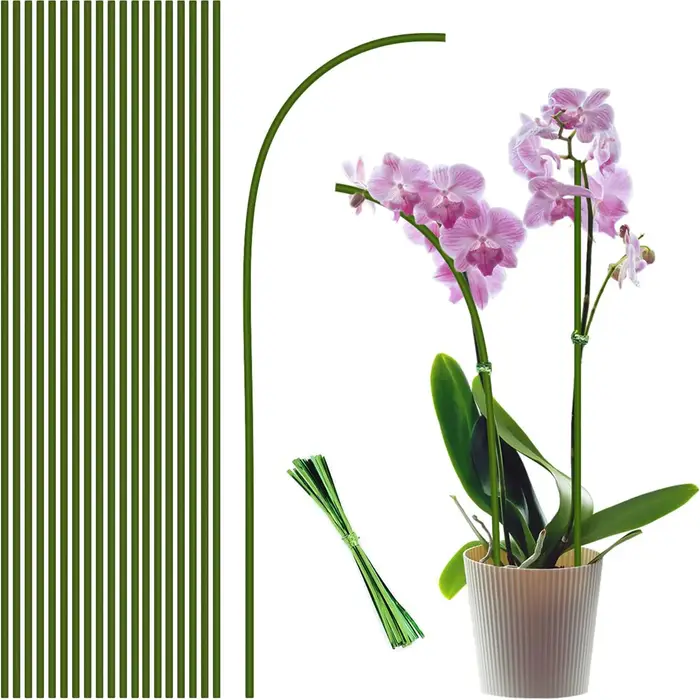 Bâtons de Support pour plantes