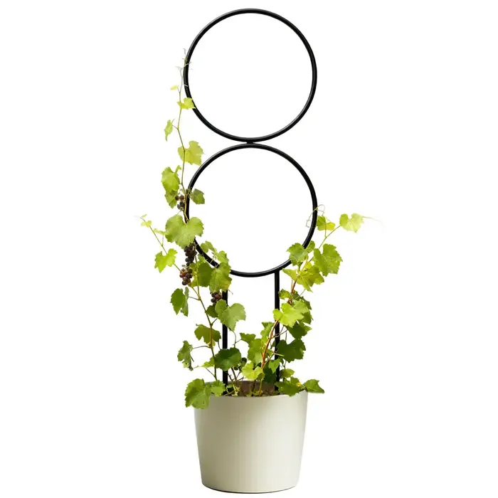 Treillis pour plantes en pot