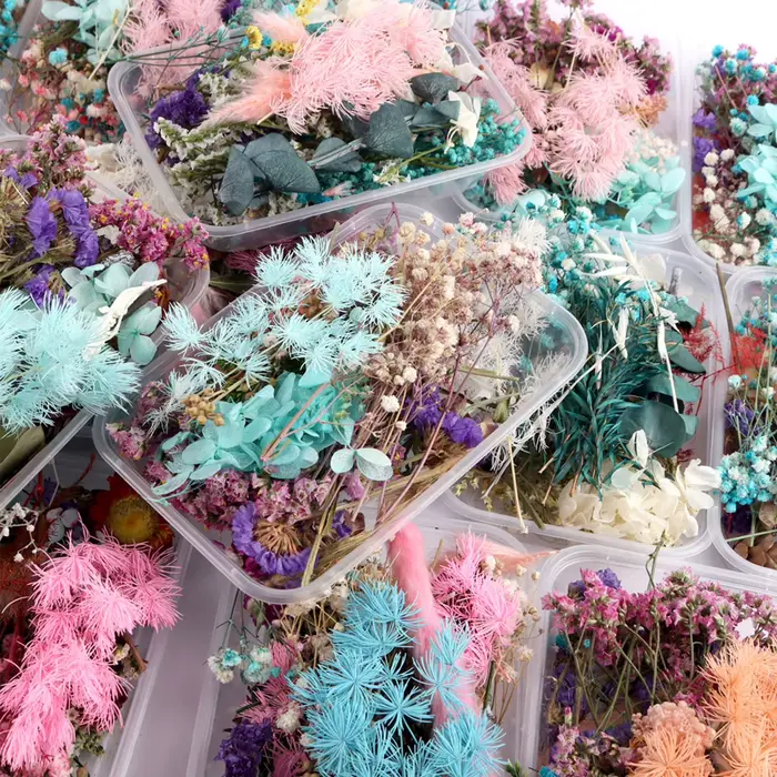 Véritables boîtes de fleurs séchées pour l'aromathérapie