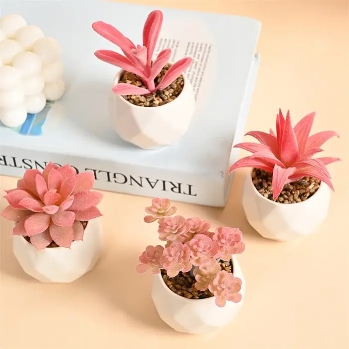 Ensemble de Mini plantes succulentes artificielles
