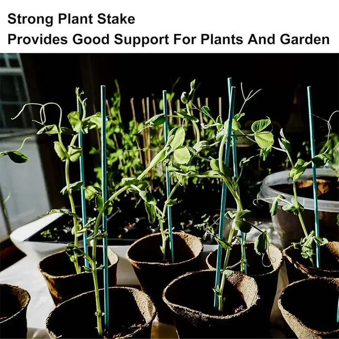 Piquets de Support de plantes en bambou polyvalents