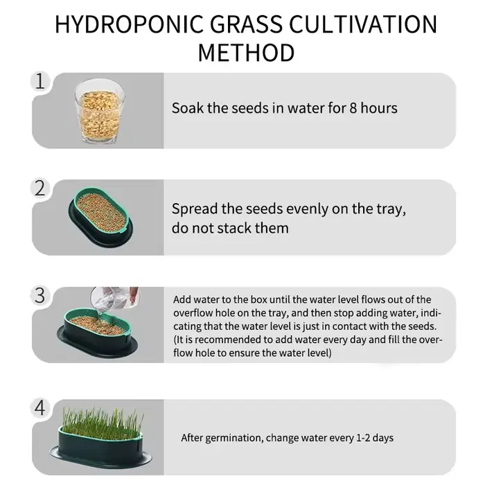 Nouveau plat de germination de chat de compagnie Pot de culture plante hydroponique
