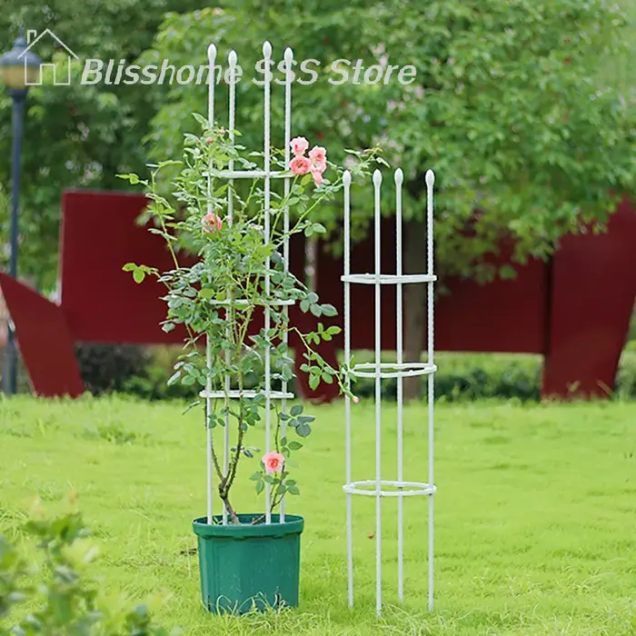 【S】1 ensemble de cages de soutien pour plantes grimpantes