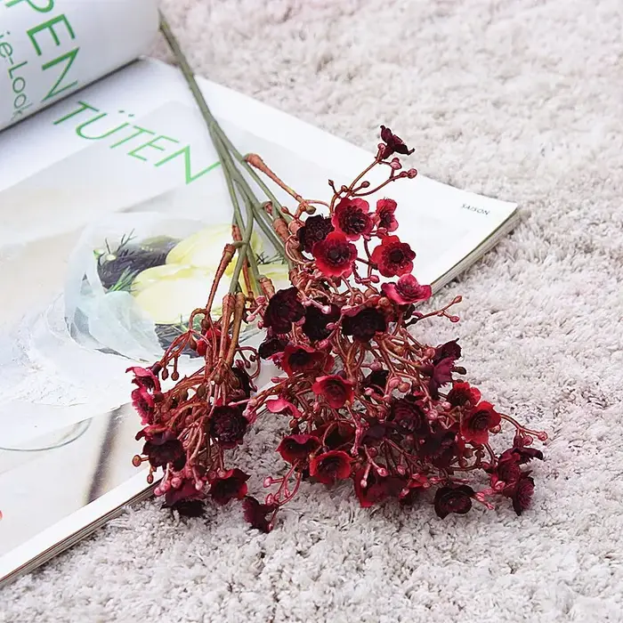 Fleur de gypsophile pour la décoration de la maison