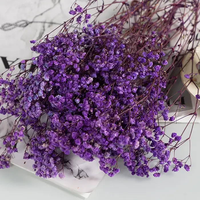 Vraies fleurs séchées gypsophile bébé souffle Bouquet gypsophile saint valentin cadeau décoration de