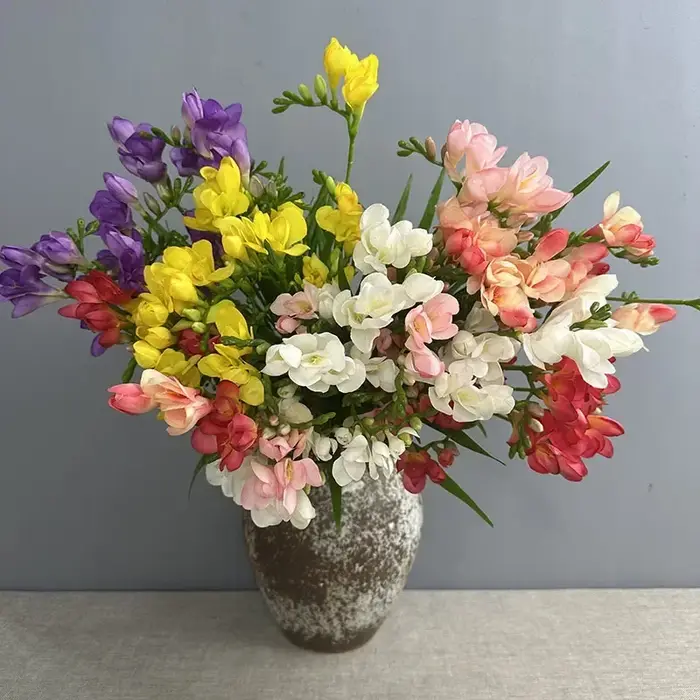 Simulation de Branches de Freesia