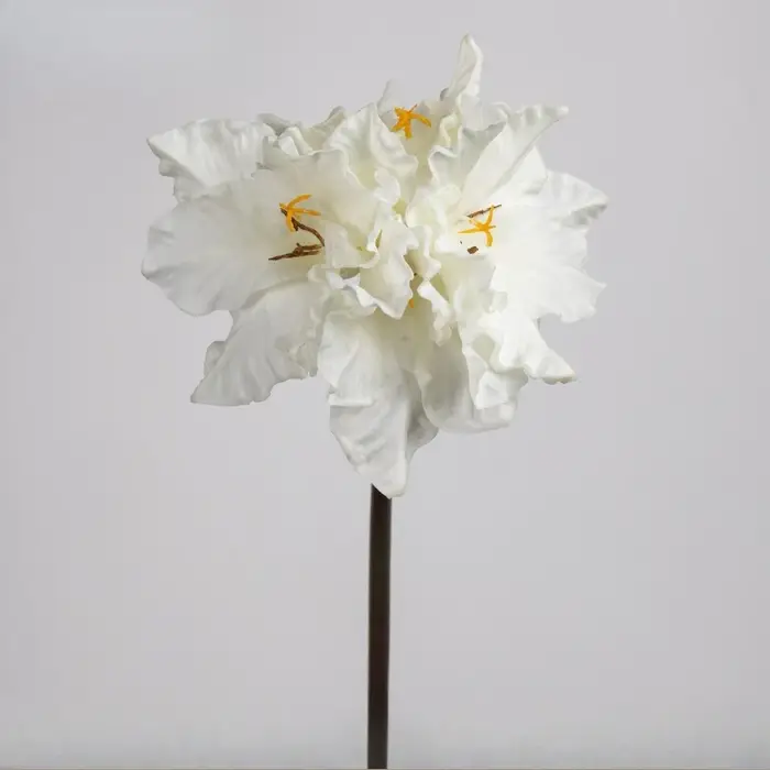 6 pièces de fleurs artificielles en PU, Clivia violette, plante décorative pour salon, simulation de