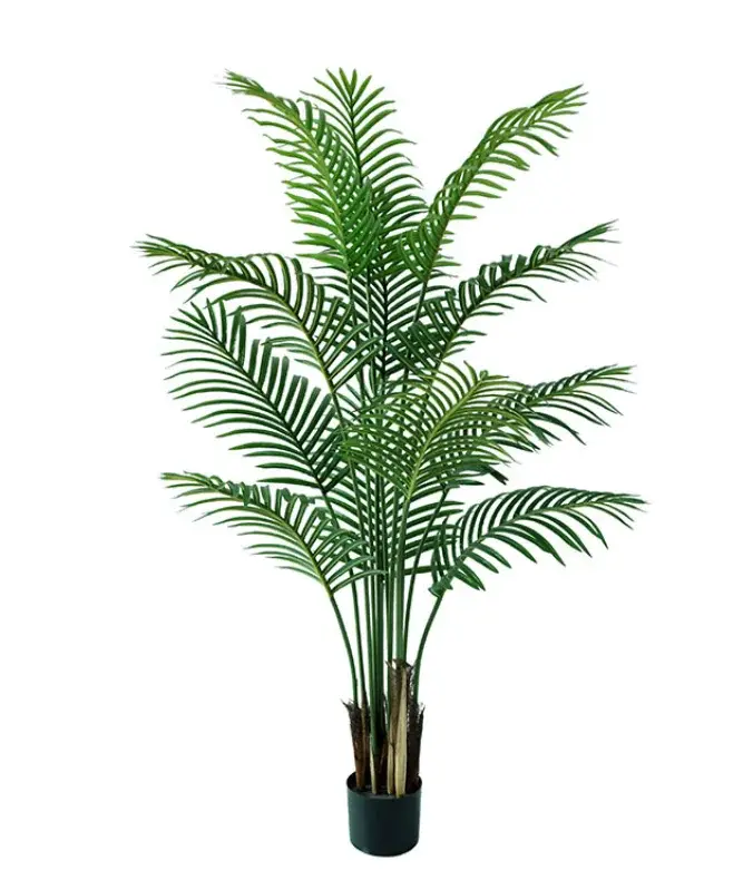 Fausse plante, nouveau Design