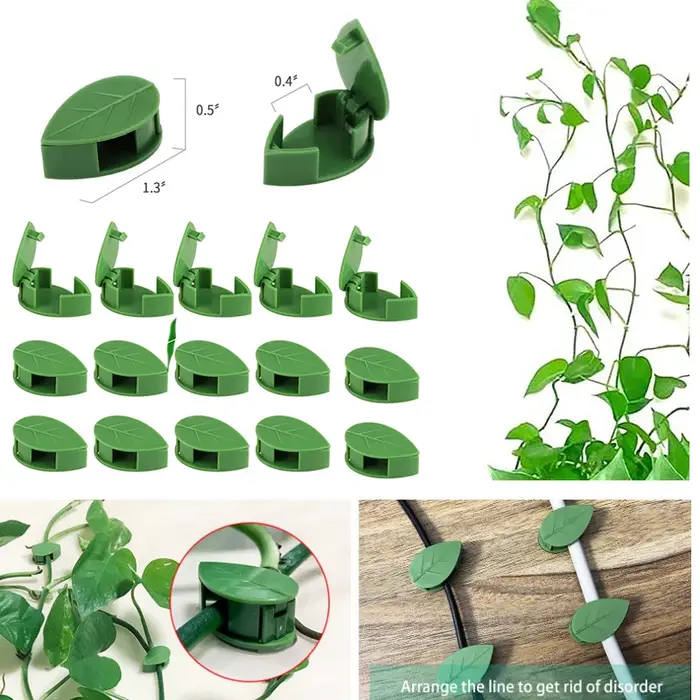 Fixation murale Invisible pour plantes grimpantes