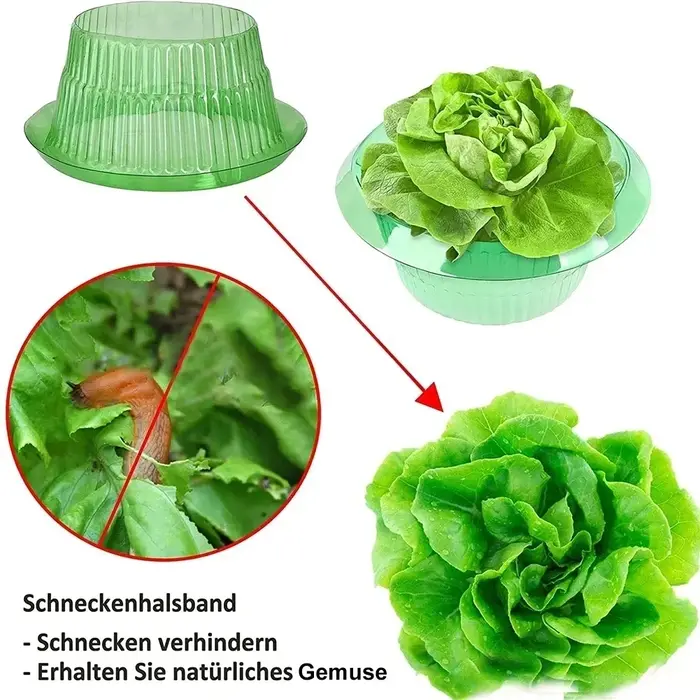 Anneaux de protection anti-légionnaires pour plantes