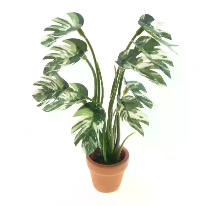 Plante verte Monstera en pot pour maison de poupée 1/12