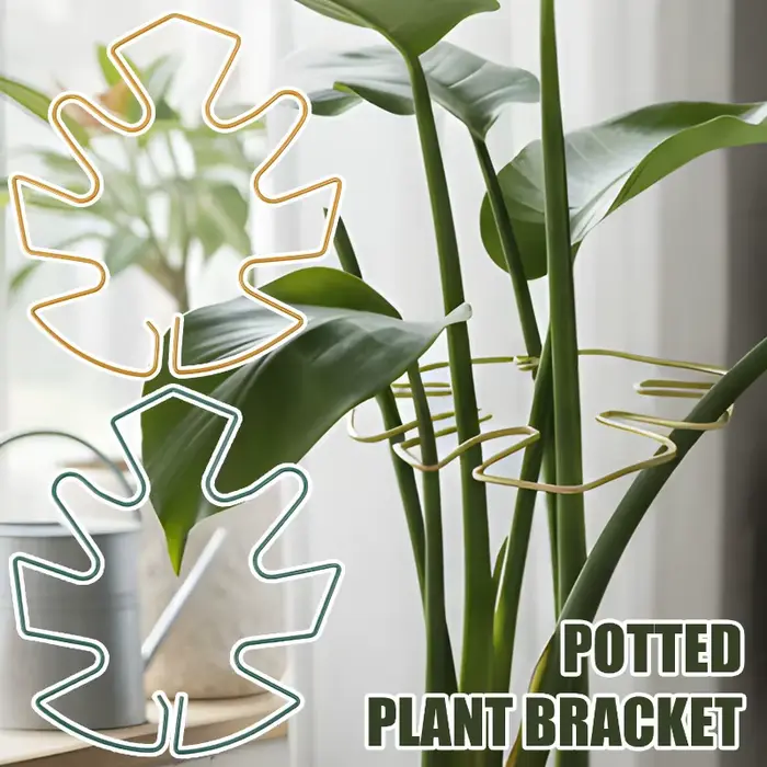 Monstera Support pour plantes