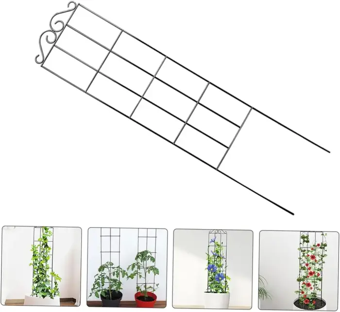 Cadre d'escalade en métal pour plantes grimpantes