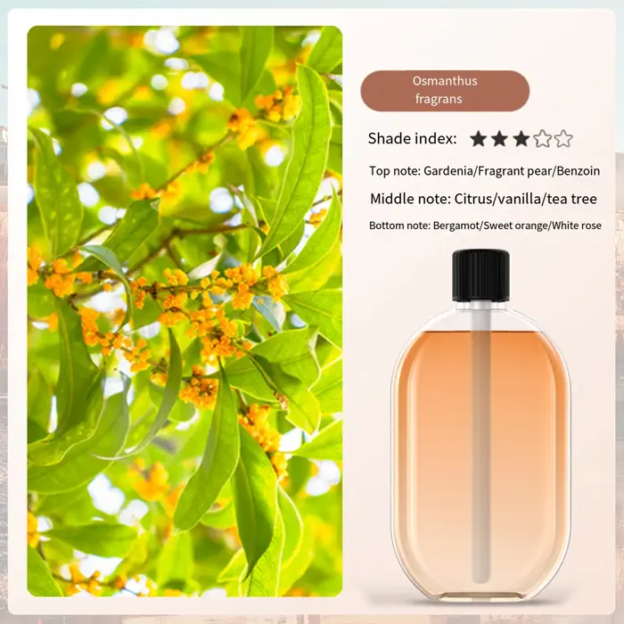 Huile essentielle d'aromathérapie, extrait de plante, parfum naturel durable pour salle de fleurs, h