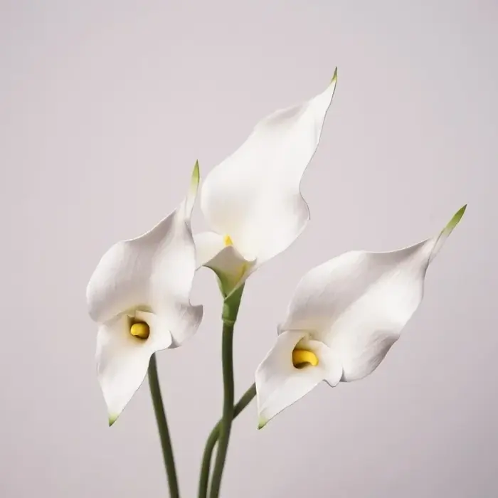 Fleurs artificielles de lys calla en PU
