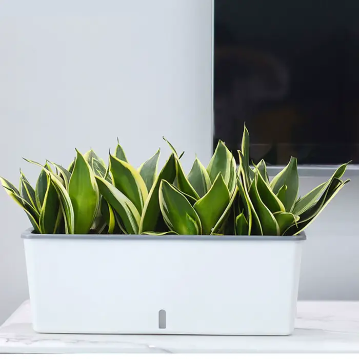 Pots de jardinières paresseux à Double couche