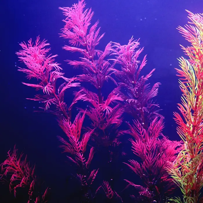 Plantes d'aquarium artificielles sous-marines multiples