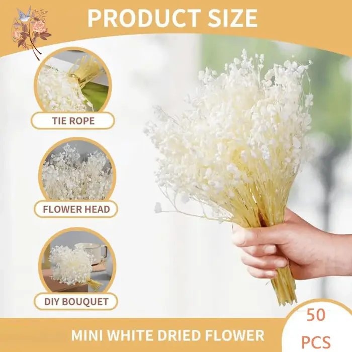 Mini-bouquet de 50 petites fleurs séchées de gypsophile blanches en vrac pour décoration rustique de maison