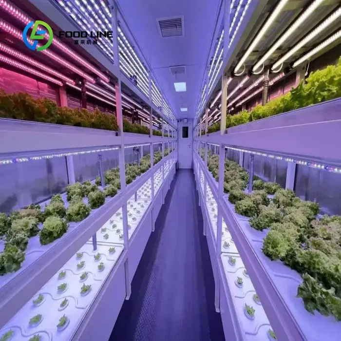 Systèmes d'agriculture verticale en serre hydroponique pour la production de laitues et de légumes à feuilles