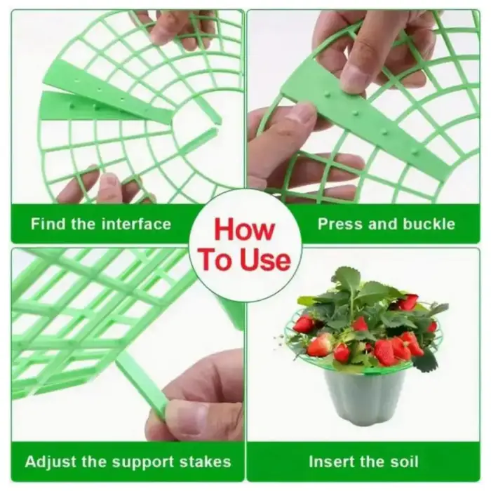 20/40PCS Supports de plantation pour fraises