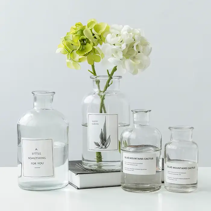Vases à bourgeons en verre transparents modernes