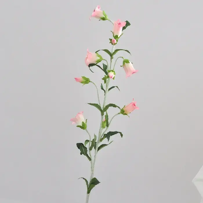 De campanule de flocage Élà longue branche