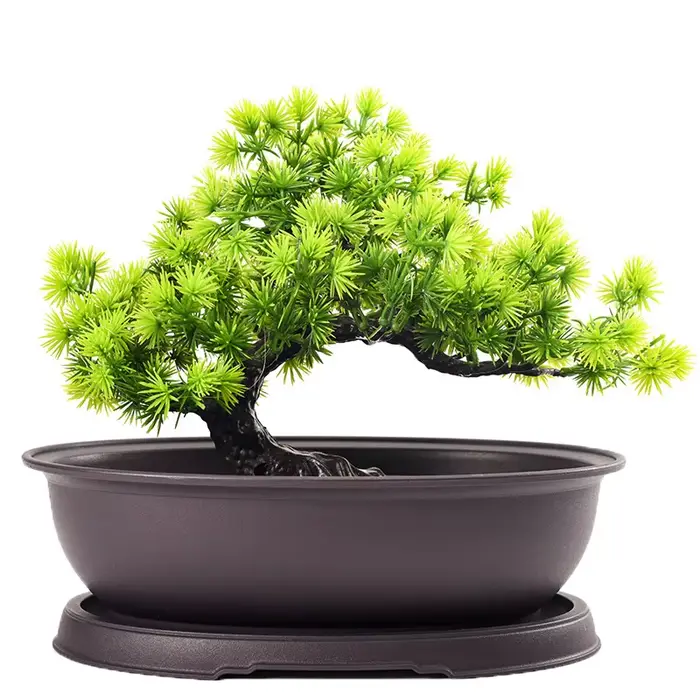 Pots de fleurs en plastique Imitation violet argile plantes