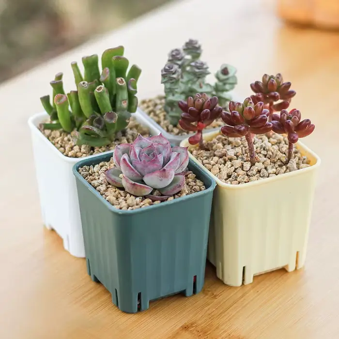 Mini pots de fleurs carrés 6/8cm
