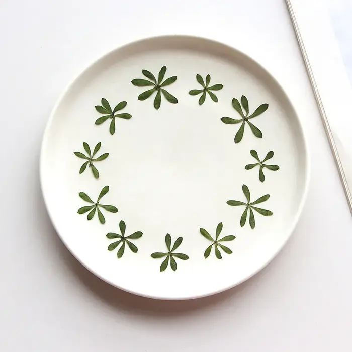 Nature Green Leaves Pressed Flower